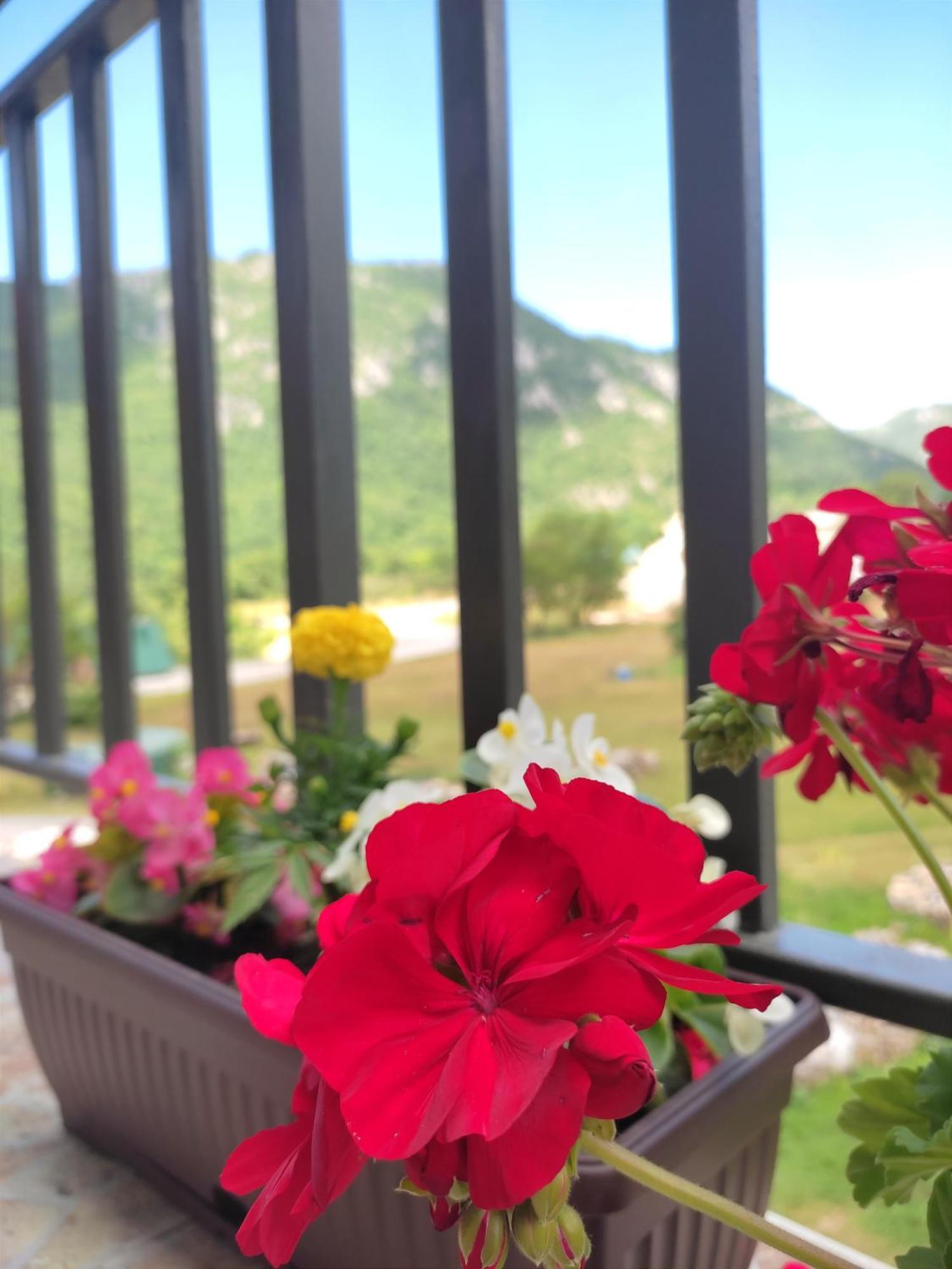 Apartment La Casa ปลูชิเน ภายนอก รูปภาพ